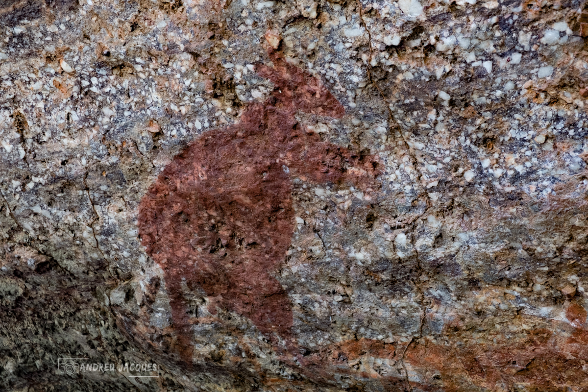 australie 2018-93.jpg